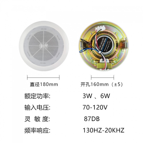 TS-306 定壓吸頂喇叭